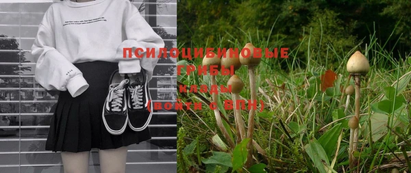 2c-b Балахна