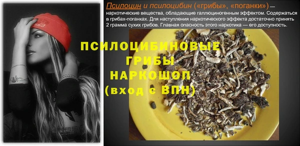 2c-b Балахна