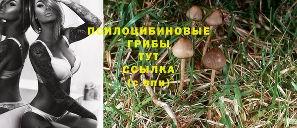 2c-b Балахна
