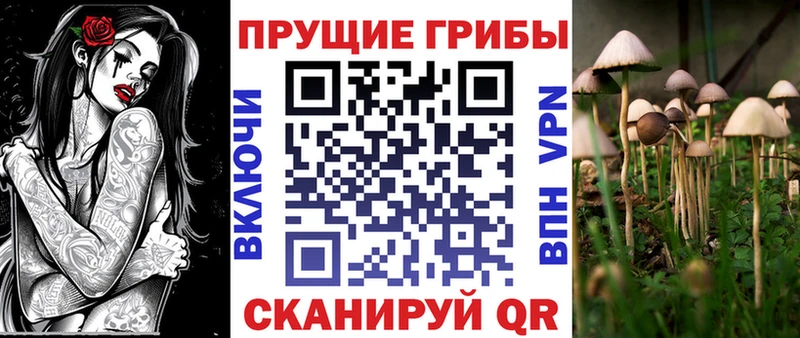 МЕГА онион  Сунжа  даркнет формула  Псилоцибиновые грибы мухоморы 