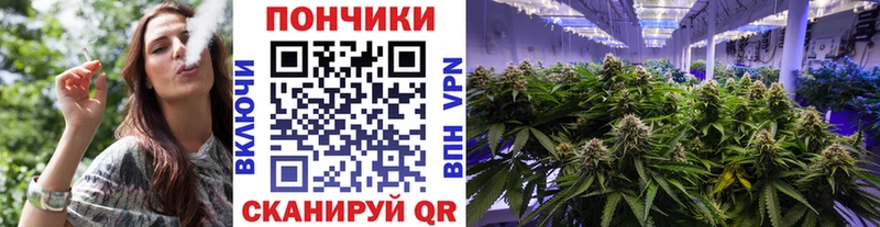 Конопля Bruce Banner  Сунжа 